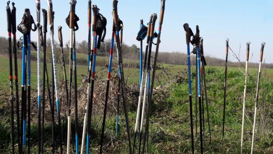 Marche Nordique du mois d’avril
